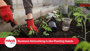 Business Networking is like Planting Seeds